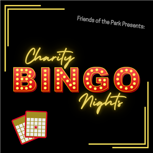 Charity Bingo Nights Ad