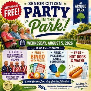 Park Party Seniors